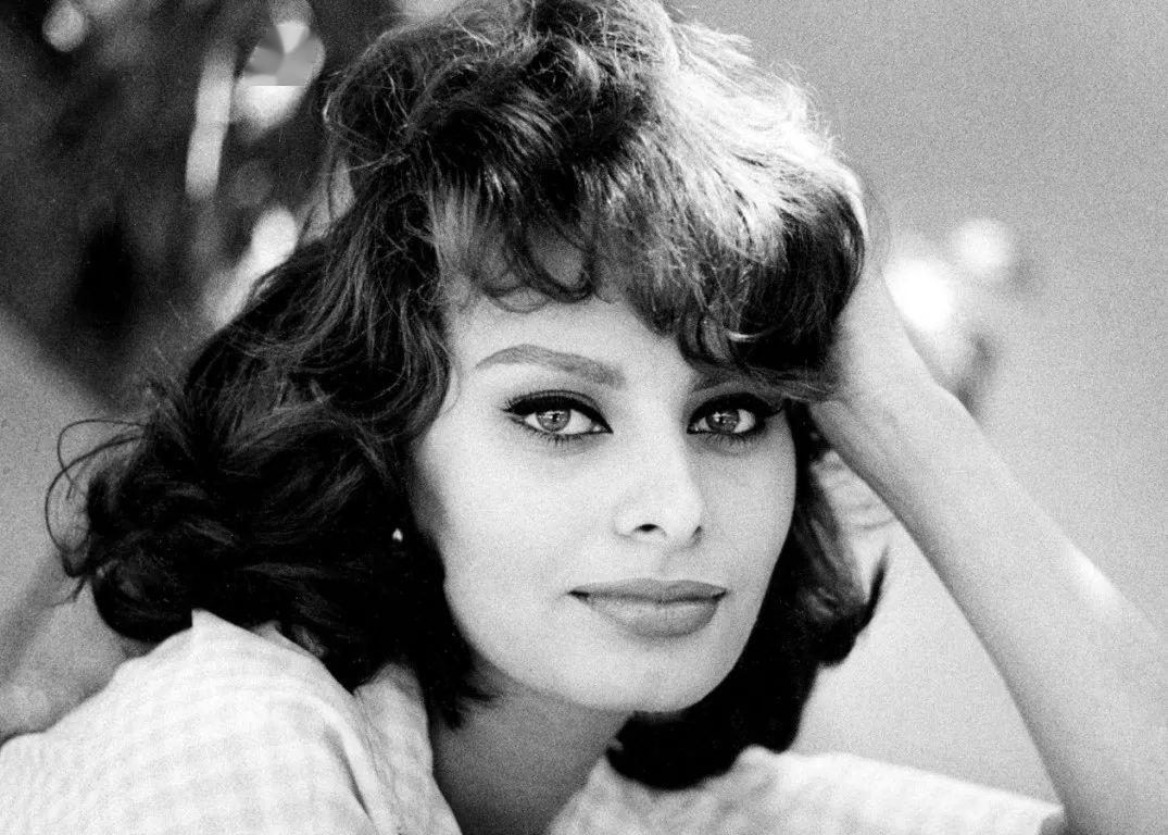 索菲亚·罗兰(sophia loren)1934年出生于罗马,15岁时在一个选美大会