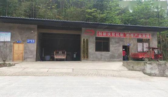 盐津中和艾田:大力发展养殖业,激活发展不竭动力