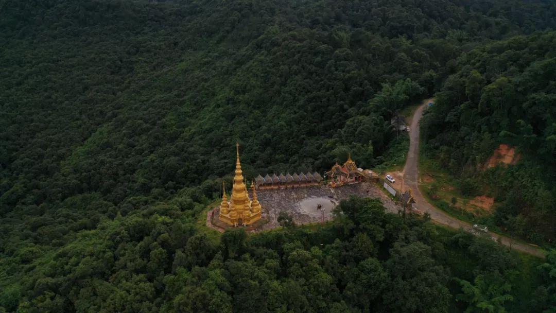 大国茶匠 | 任怀灿,没有情怀,哪有远方(上)_云南