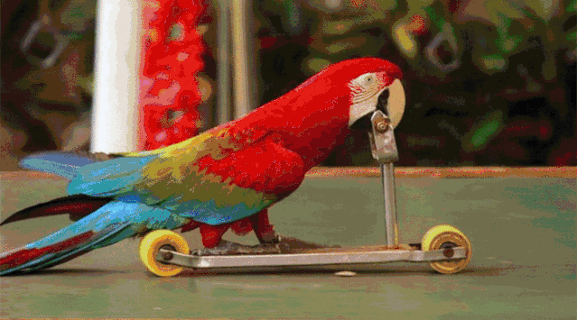 18竹泉村·红石寨】赏竹翠泉清,春光满园休闲1日138元_活动