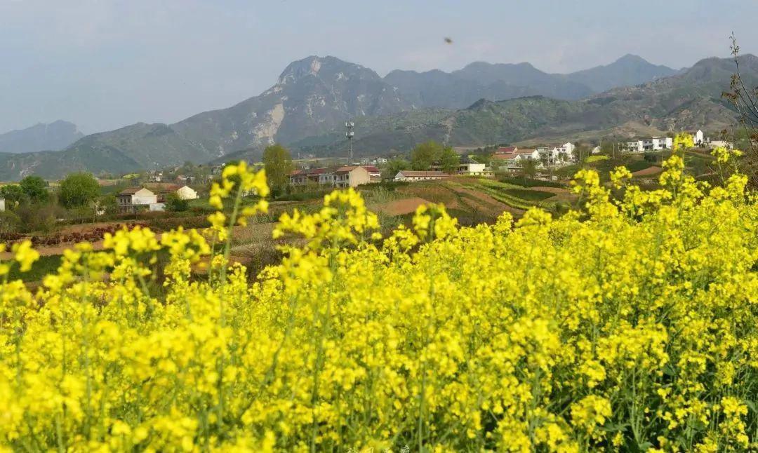 藍田縣九間房桐花溝,春天大地彩色紋理讓人恍然墜入世外桃源_村落