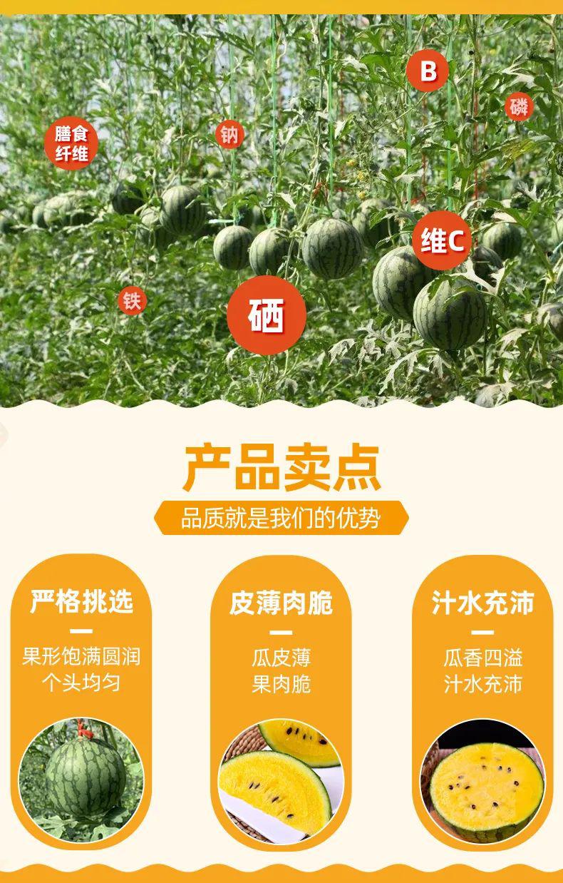 济阳副区长白宝强为仁风富硒西瓜代言!