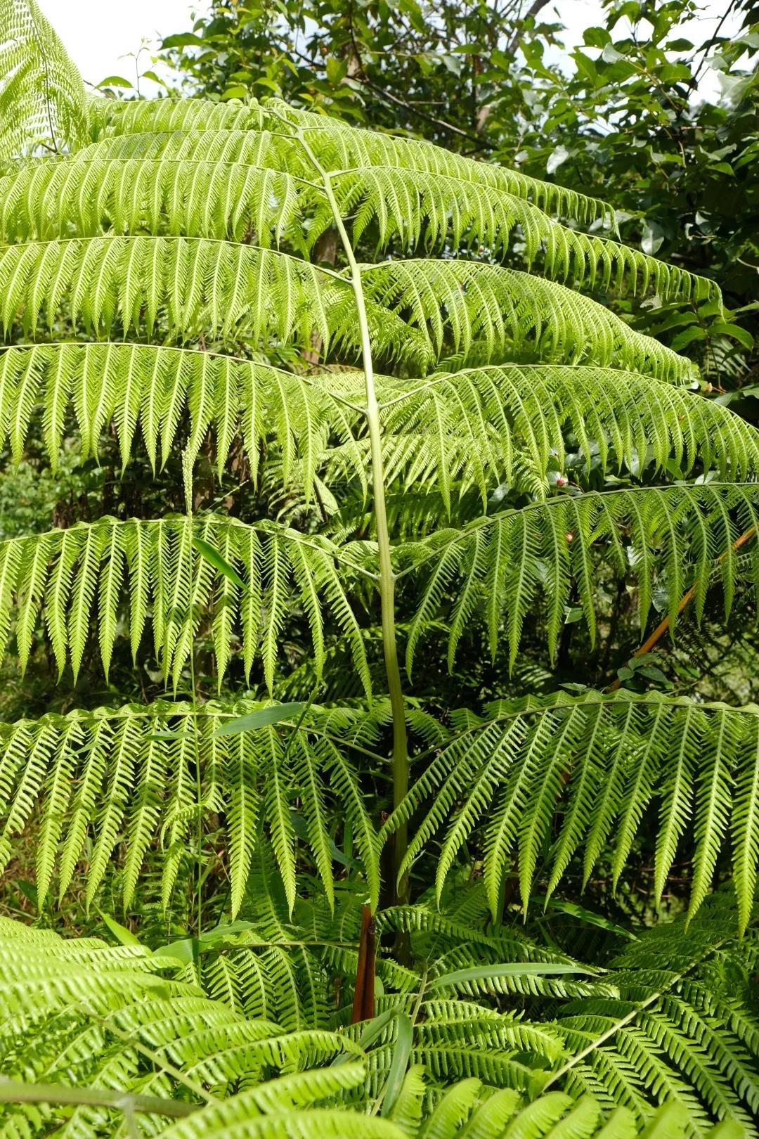 北京华联白银力挺低于成本断显现影店复工 全力