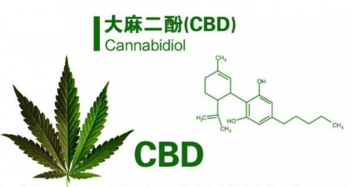 战痘抗初老两手抓cbd护肤这是什么神仙成分