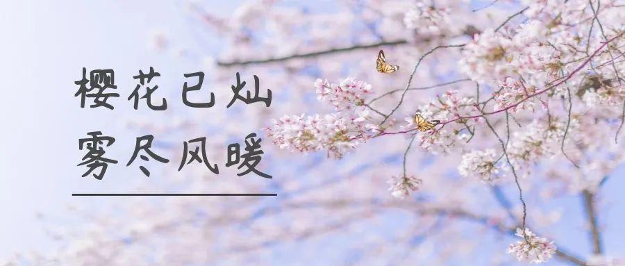 开学第一天!让我们同沐春光,共启未来