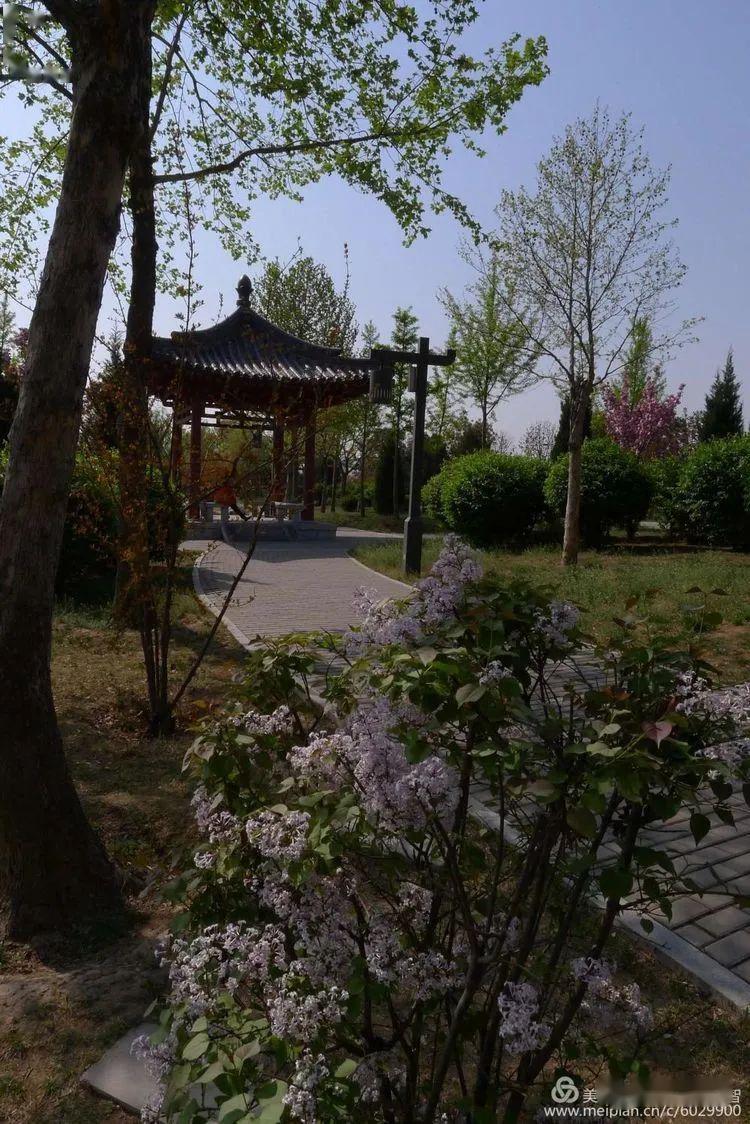 铜川大唐养生园的风景