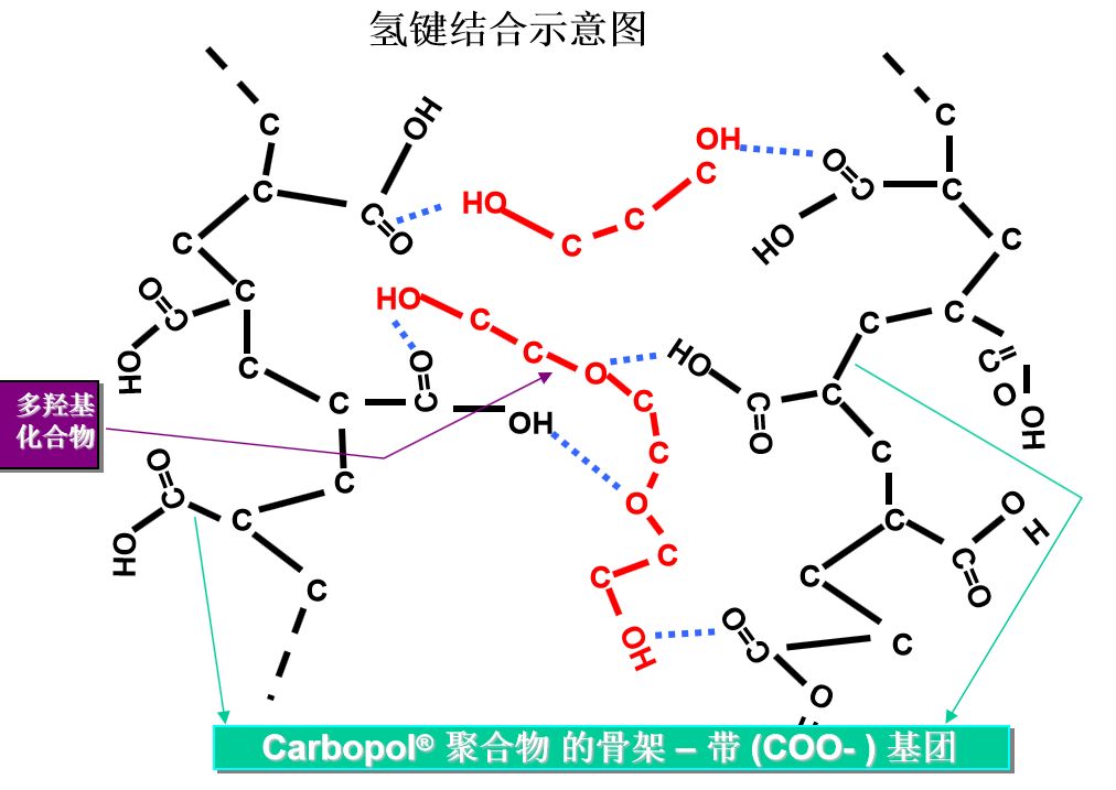 尿素氢键示意图图片