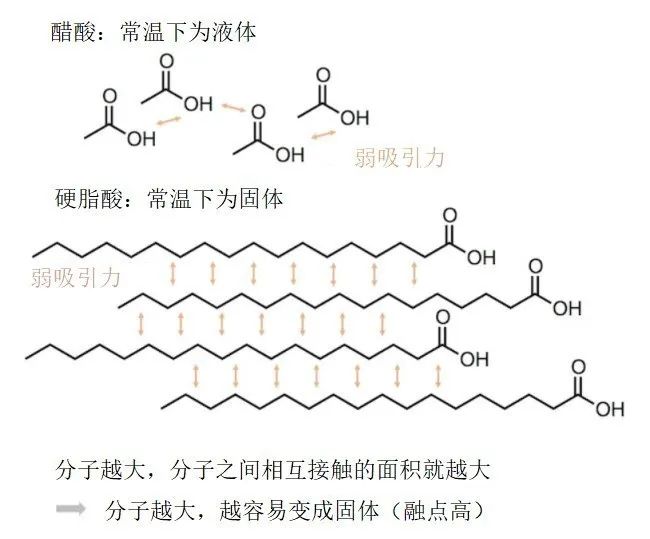 脂肪分子式结构简式图片