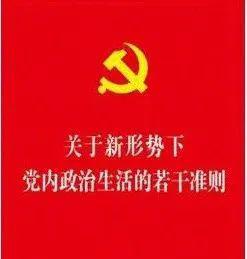 新形势下党内政治生活若干准则(新形势下党内政治生活若干准则研讨材料)