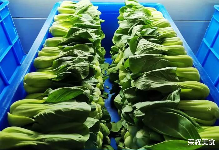 原创兵哥哥的食堂太整齐了,蔬菜食材摆放巧妙,看到西红柿真让我叫绝