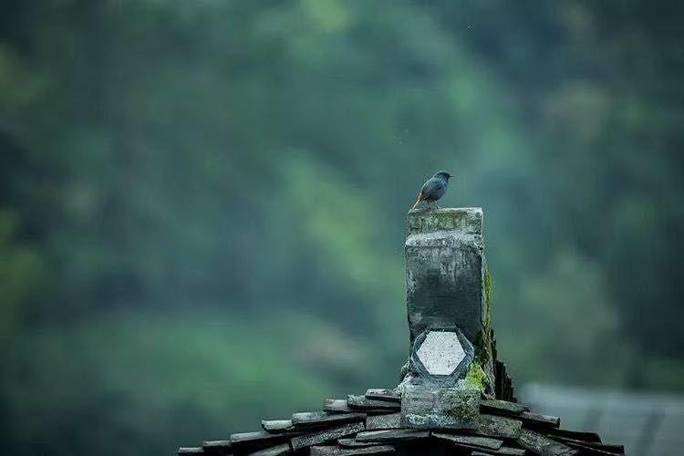 得之坦然失之淡然顺其自然