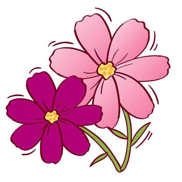 梨兰会后芝樱花海盛放快来饱眼福