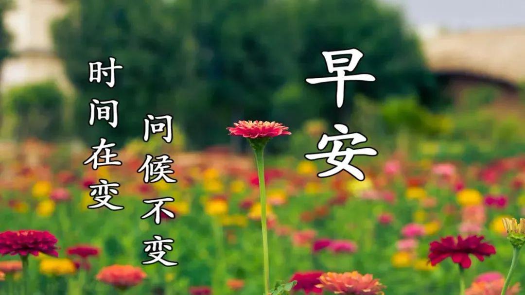 4月13日周一群发早上好问候祝福动态表情图片 4月最美早晨好问候表情