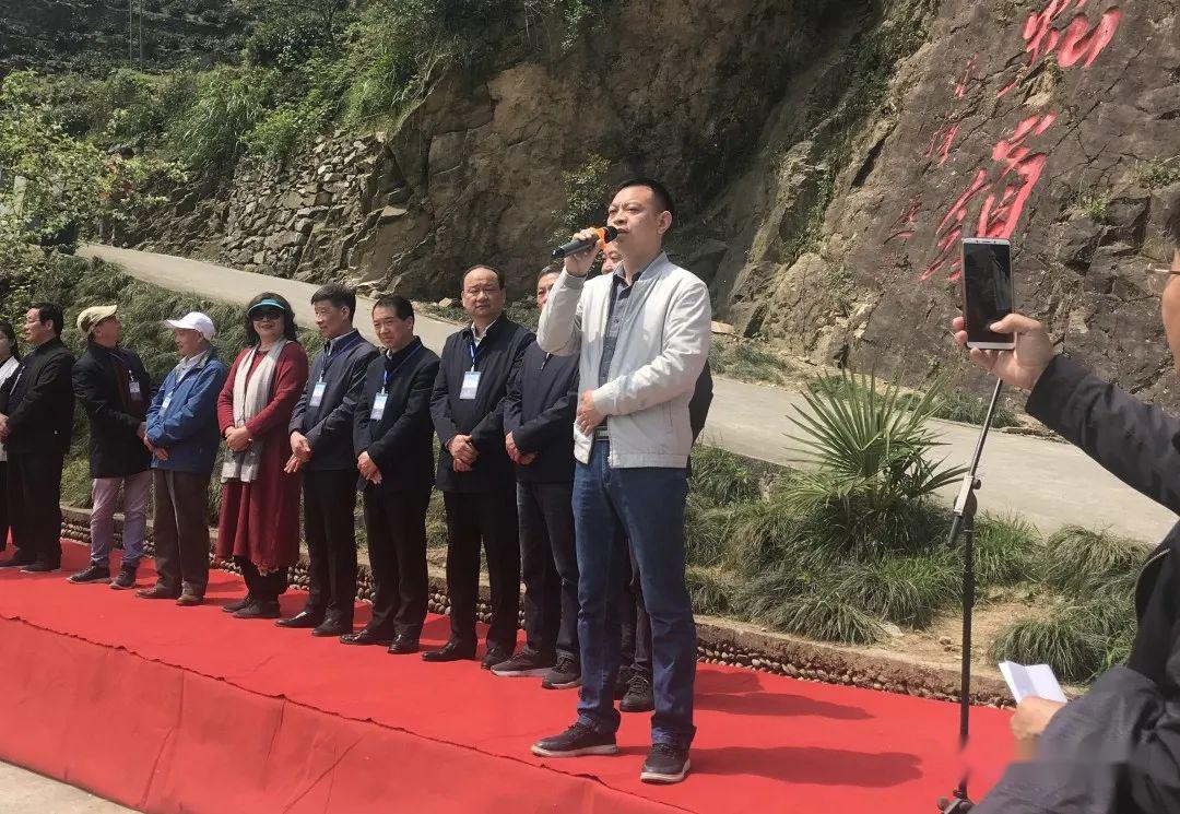 春游江淮请你来品味歙县61自在乡村蜈蚣岭母树白茶开