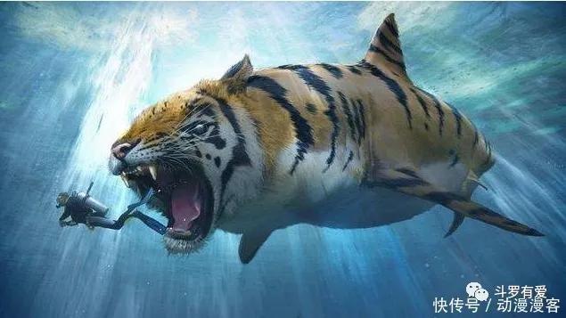 斗罗大陆:唐三杀死最强的五只魂兽,最后一只能够轻松击败唐昊!