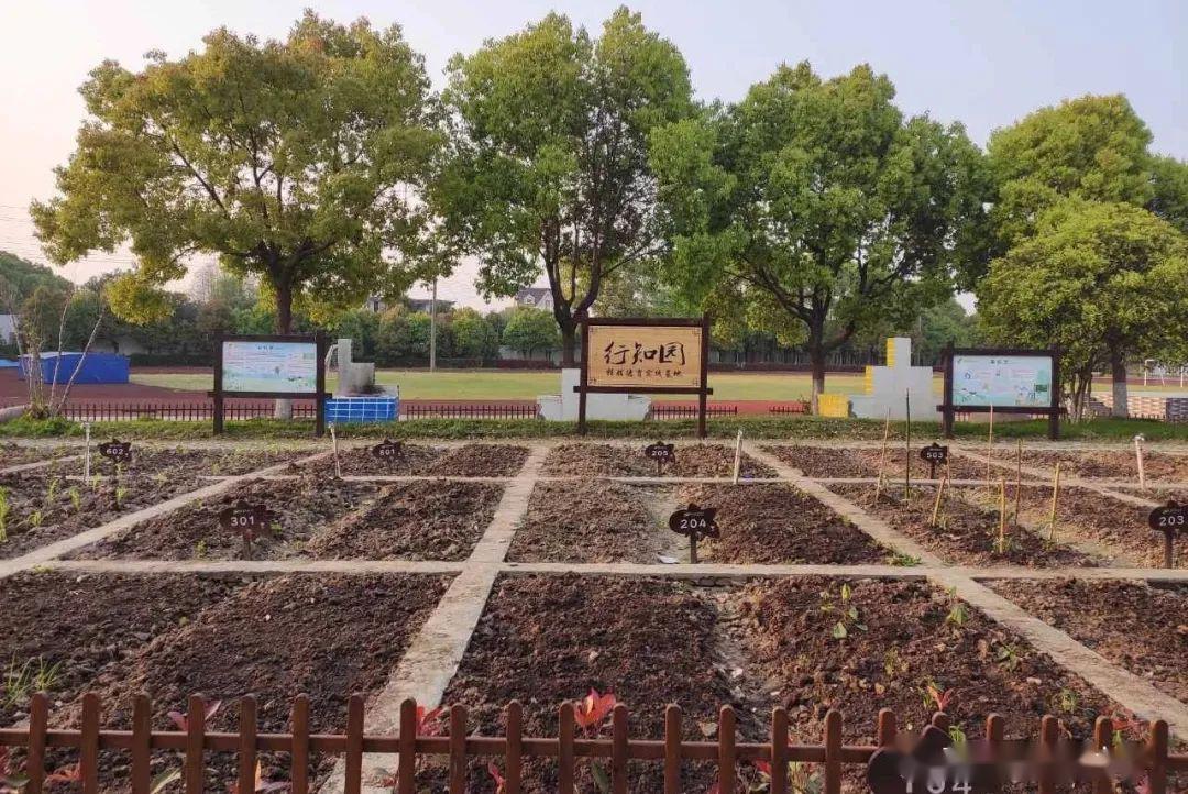 德育云端之上播种春天记嘉善县城西小学行知园实践基地劳动教育