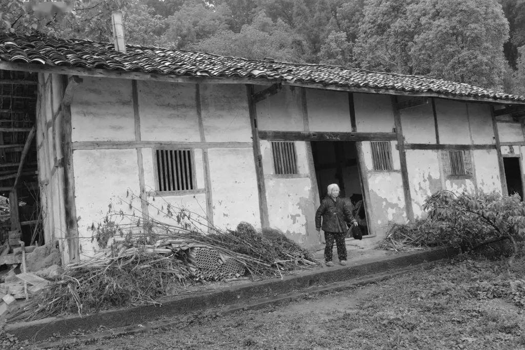 一穷二白拱市村十年脱贫大变样