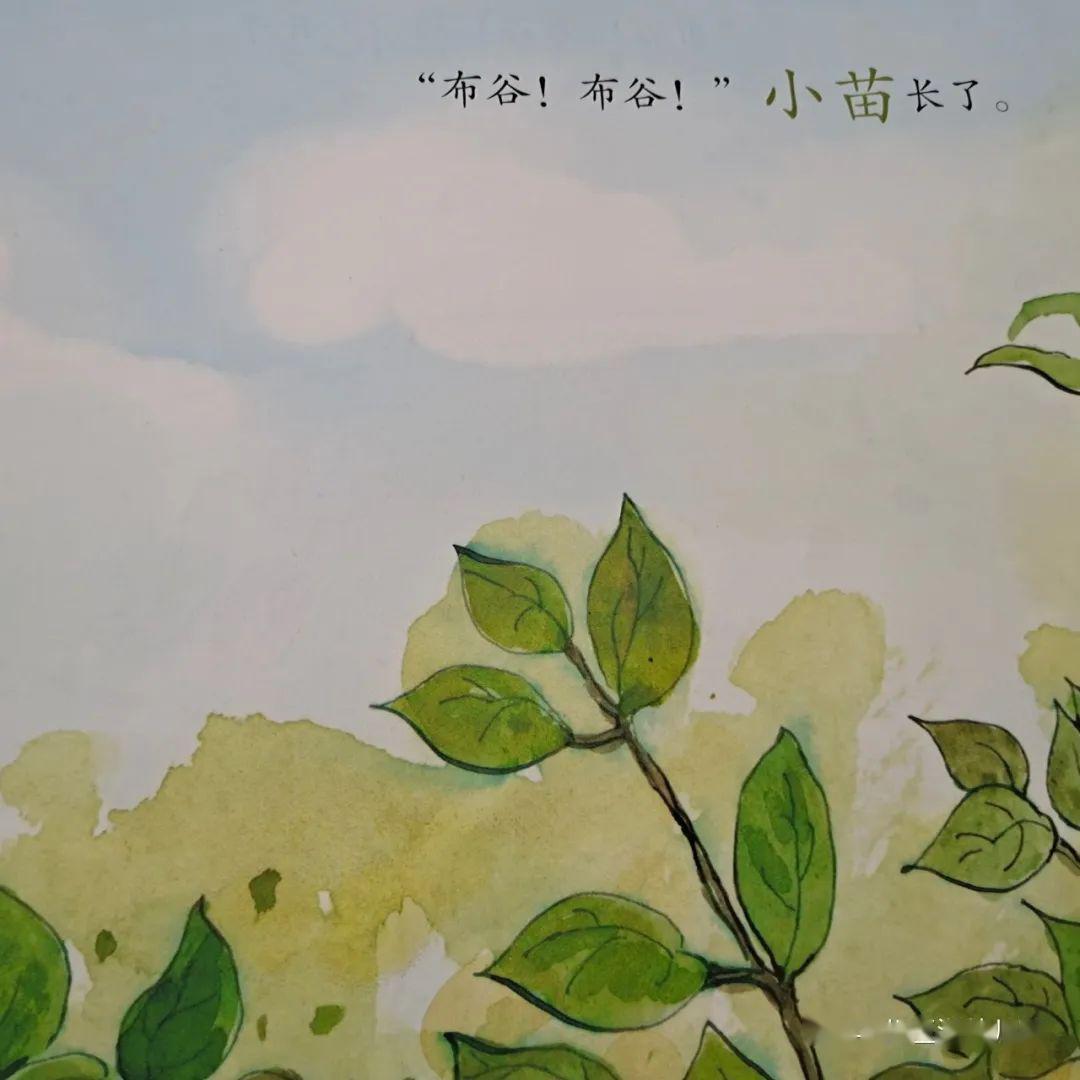 停课不停学玉湖幼儿园故事乐园四十林语菲小朋友讲故事布谷鸟