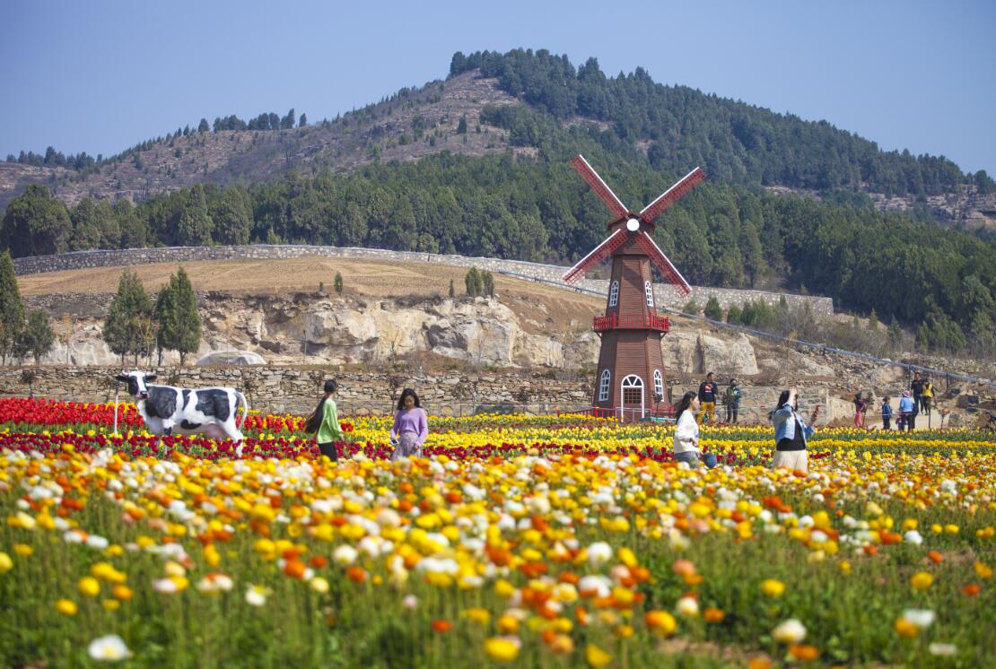 网红打卡基地 | 何必羡慕远方,在芳蕾玫瑰花乡承包你的整个春天