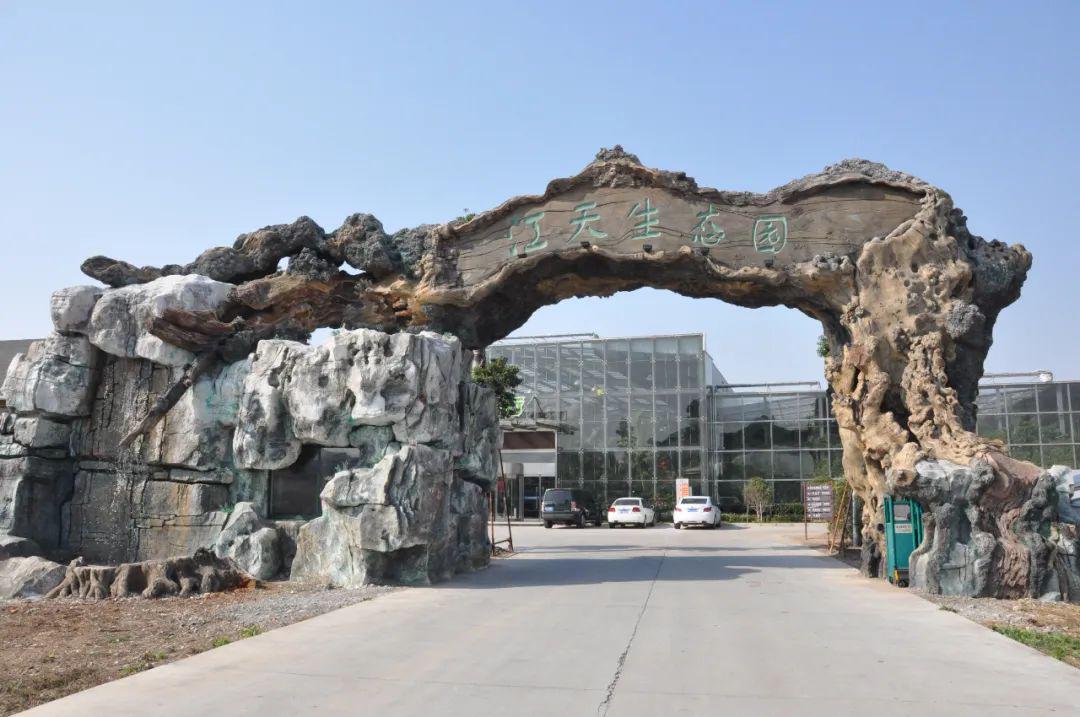 享春光促旅游江天生态园