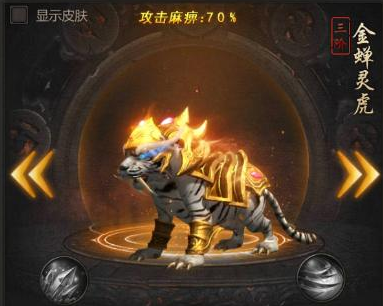 首先宠物一共分为十阶(赤环猛虎,冲霄圣虎,金蝉灵虎,天罡神虎,巨灵金