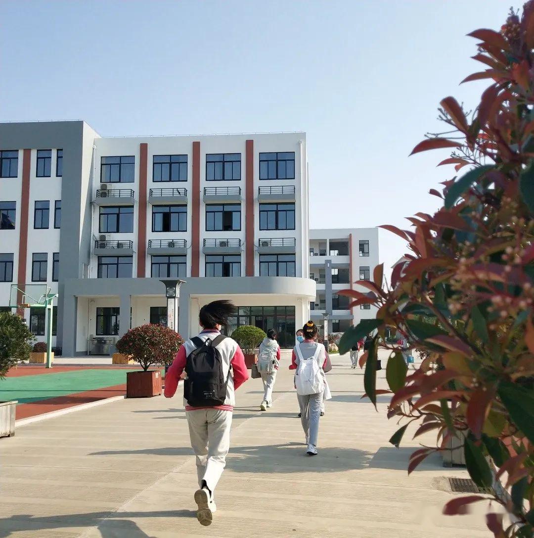 春暖花开迎开学 | 鹤浦中学开学第一天