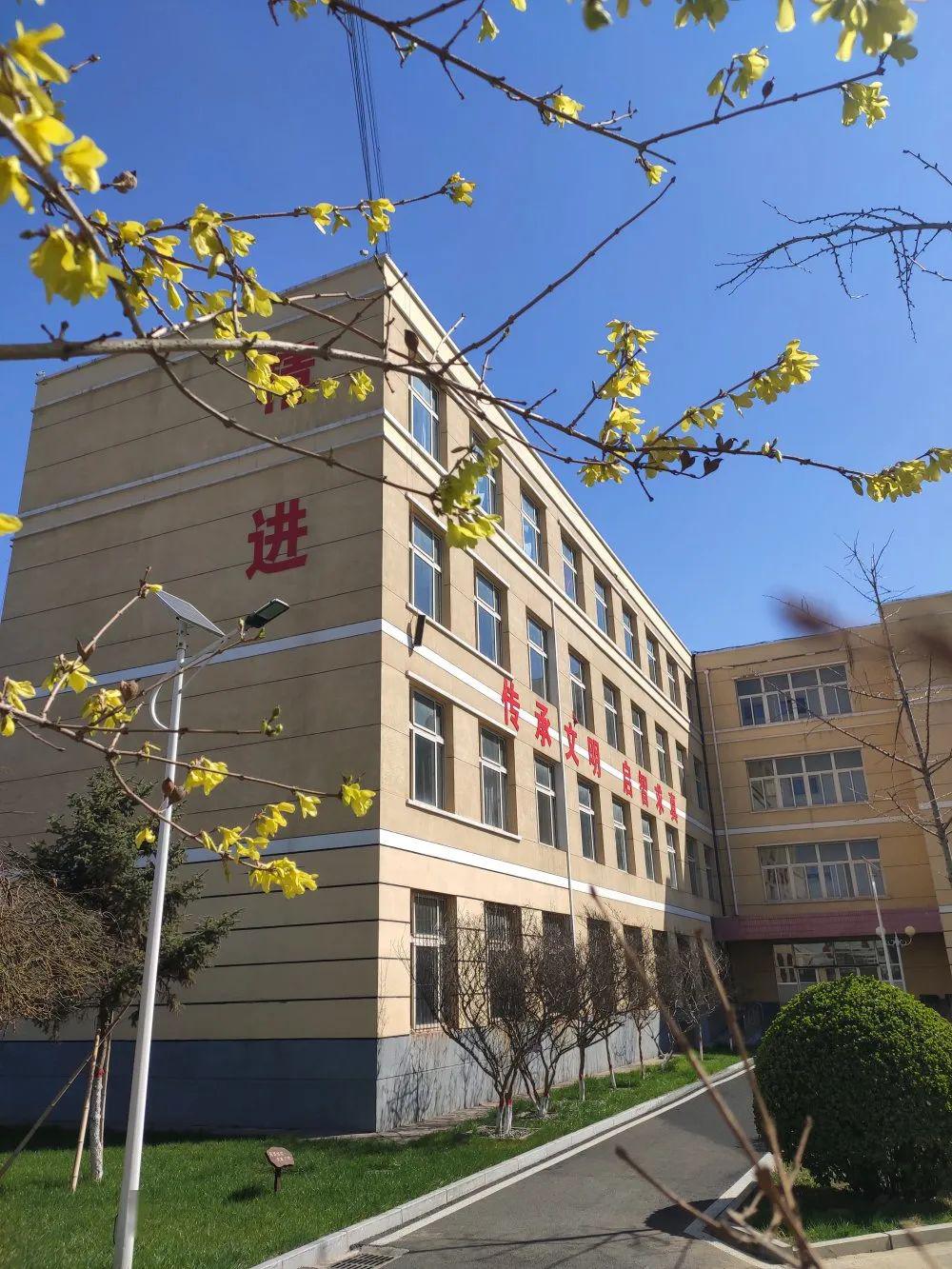 滦州校园花已开惟愿你归来