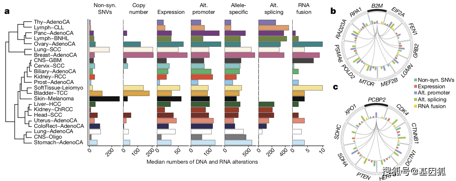 nature丨北大团队系统描绘迄今为止最为全面的肿瘤rna变异图谱_基因