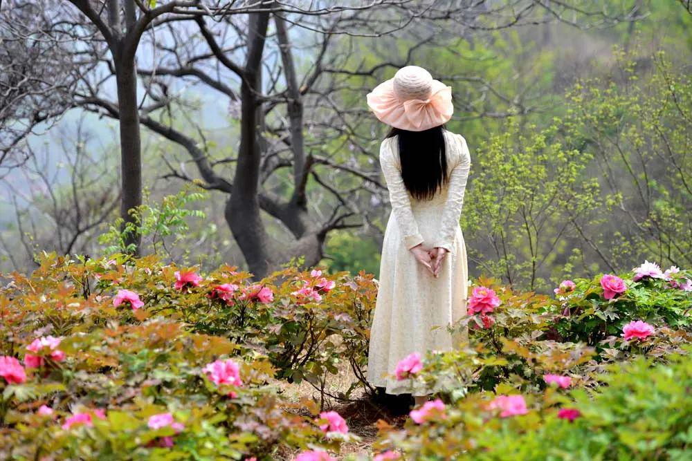 赏花季到新安不负好春光