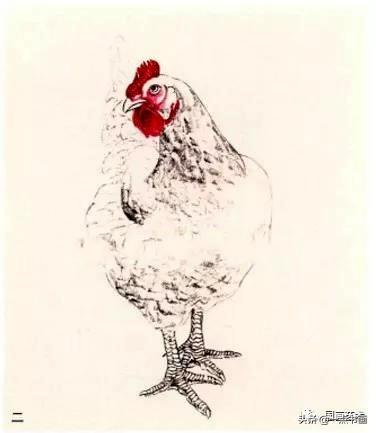 图文教程——母鸡的小写意画法步骤