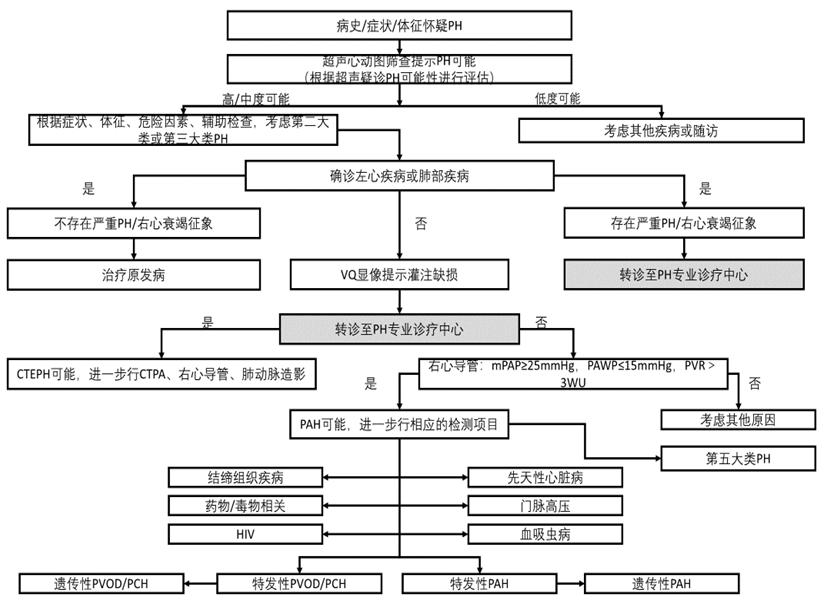 黄岚教授肺高血压诊断和治疗进展与评价