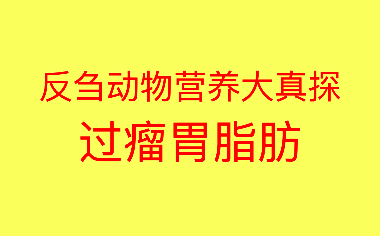 反刍动物营养揭秘脂肪篇