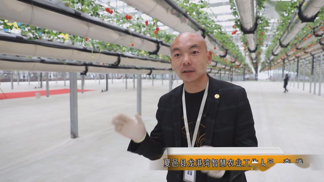 夏邑智慧农业为乡村振兴插上智慧的翅膀