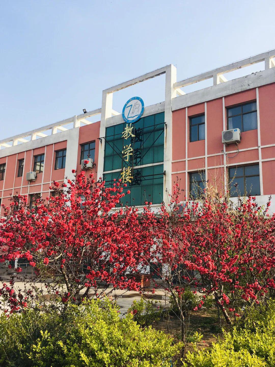 春风十里肥乡多彩校园等学子们归来