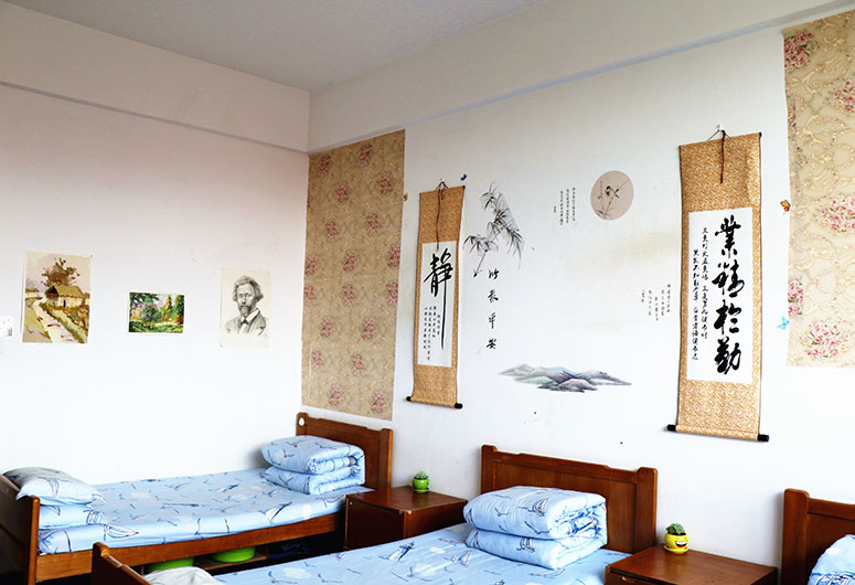 海亮艺术中学,海亮艺术高中.2020年招生简章