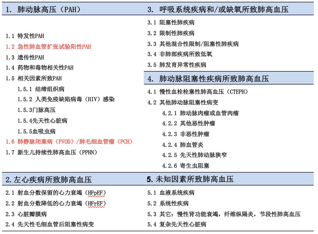 黄岚教授:肺高血压诊断和治疗进展与评价_肺动脉