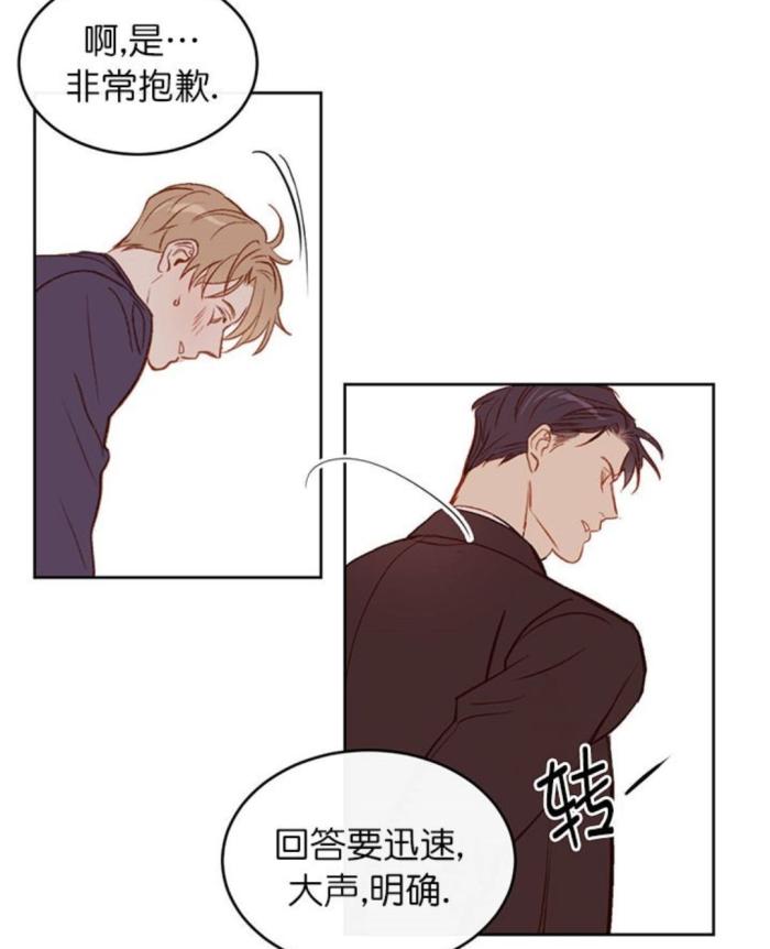 漫画撩走大魔王当冷脸总裁遇上29岁职场萌新怼怼更有爱