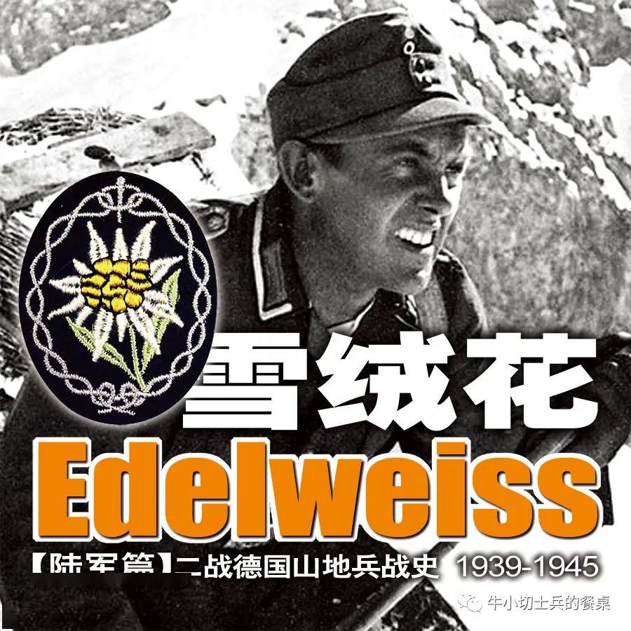 《雪绒花》经典回眸,全景展现德军精锐山地兵的血火征途,不容错过!