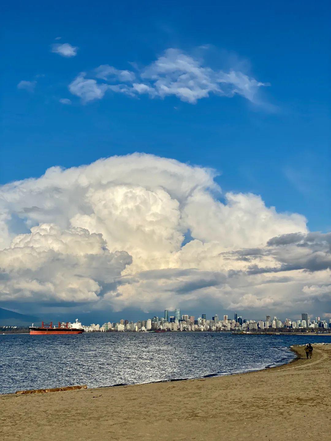 我并不责备春天, 它已再次出现_辛波斯卡