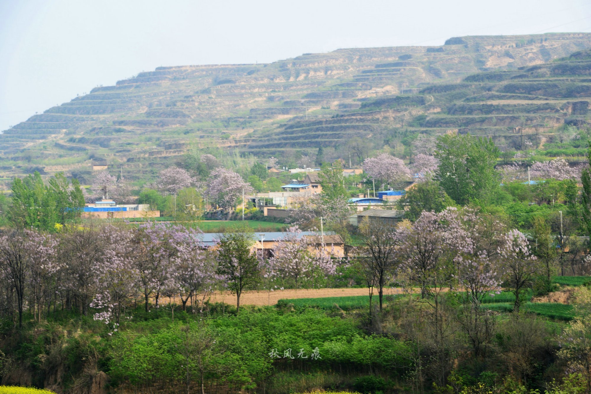 三原嵯峨山森林公园图片