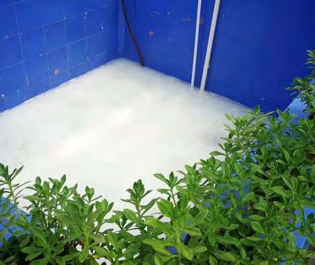 微纳米气泡概述及水产养殖应用微纳米气泡曝气技术增氧