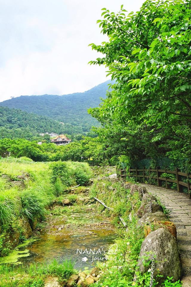 到陽明山來看海芋到陽明山來泡溫泉臺北最出名的度假勝地