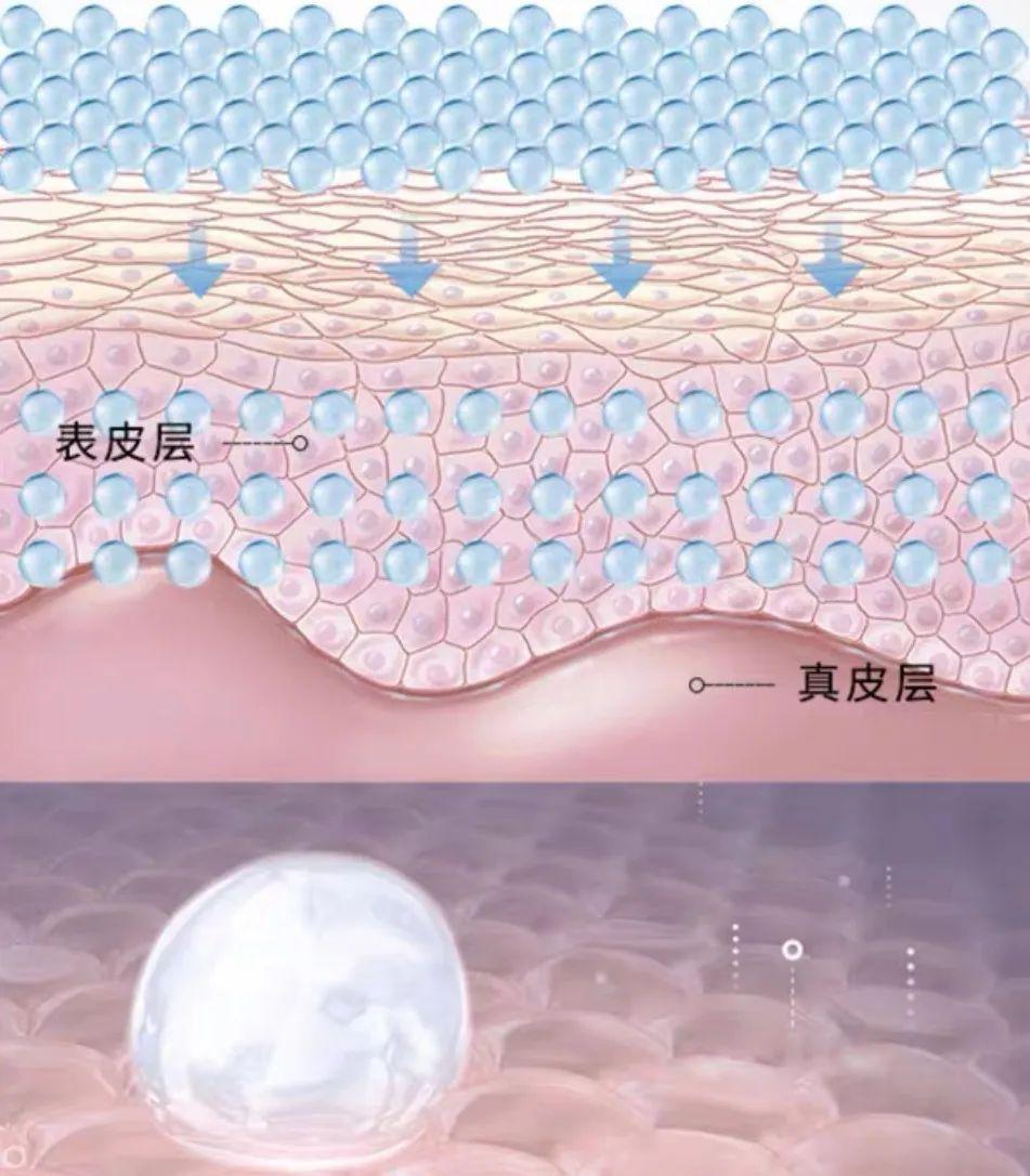 它能够将面膜中添加了2%的十几种复合氨基酸深层带入到皮肤真皮层滋养