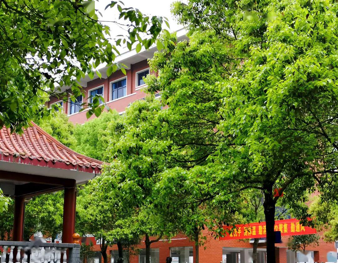 开学季61最温暖的大富田│让感动常在武冈市富田学校心罩不宣上演富