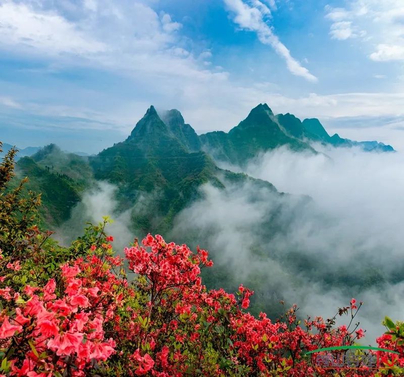 秀山风景:川阡洞牛角山/花灯吊脚岩院/焦溪巴盘十八堡/黑洞河