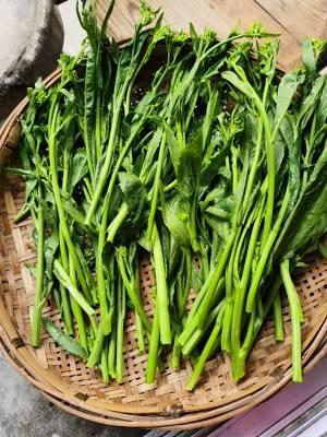 原创不知道大家感不感兴趣冲菜