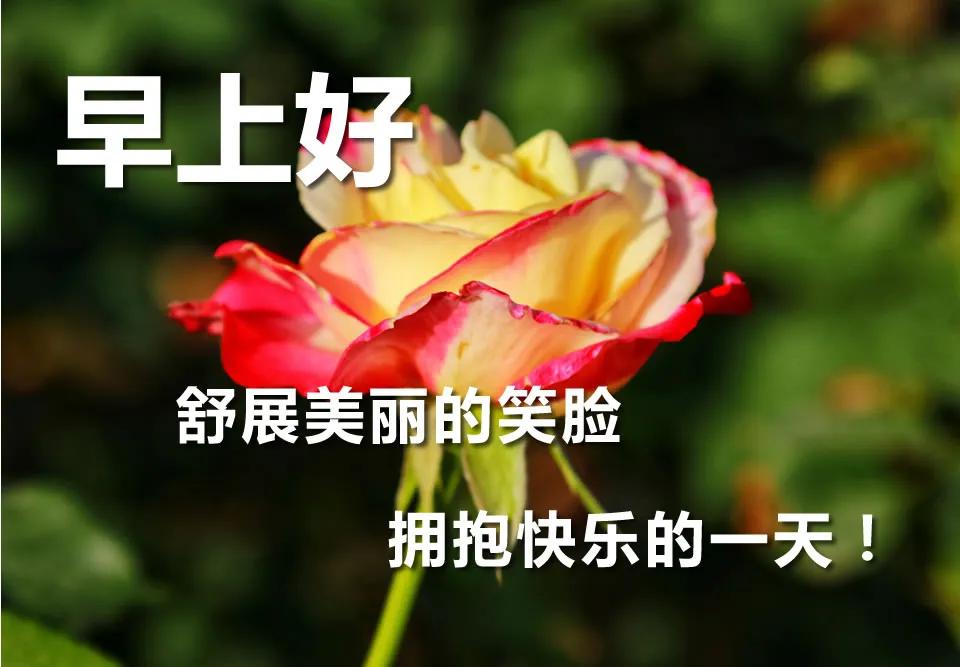2020年4月14日早上好问候语图片大全2020鼠年早安问候语表情唯美句子