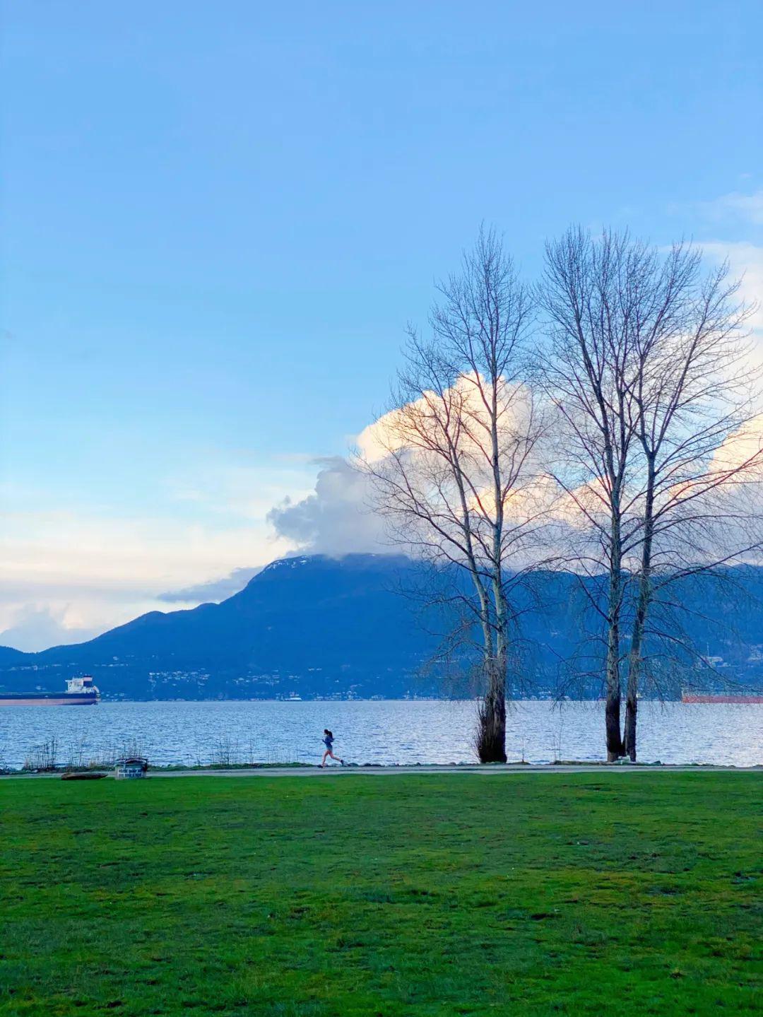 我并不责备春天, 它已再次出现_辛波斯卡