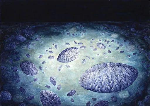 5亿年前神秘海底生物网络群居,还会克隆繁殖!
