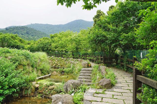 到陽明山來看海芋到陽明山來泡溫泉臺北最出名的度假勝地